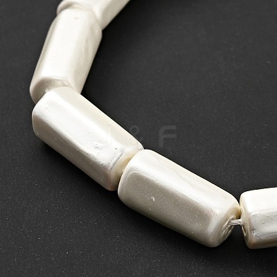 Electroplated Shell Pearl Beads Strands BSHE-G027-08A-1