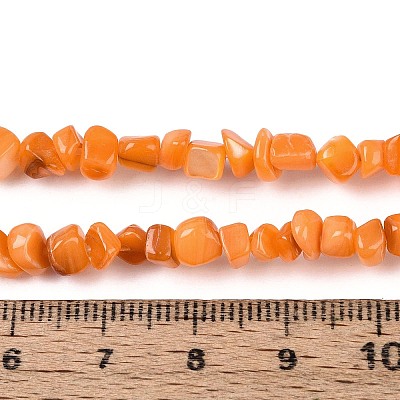 Natural Freshwater Shell Beads Strands SHEL-N037-04F-1