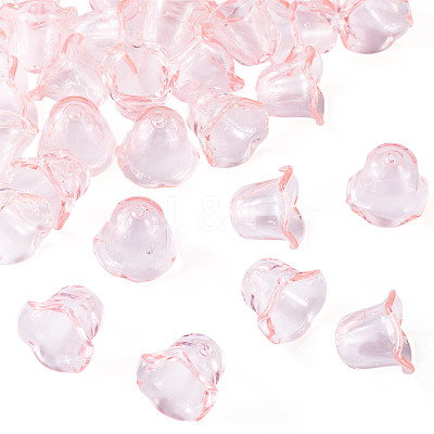 30Pcs Acrylic Bead Caps for Wind Chimes Making TACR-TA0001-69G-1