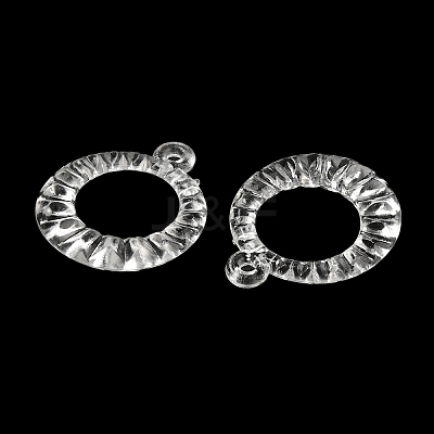 Transparent Acrylic Pendants TACR-G048-19-1