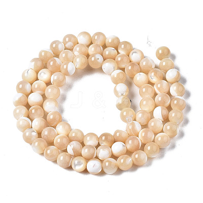 Natural Trochid Shell/Trochus Shell Beads Strands X-SSHEL-S266-023B-02-1