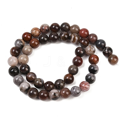 Natural Petrified Wood Round Bead Strands G-F266-08-8mm-1
