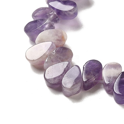 Natural Amethyst Beads Strands G-B064-B01-1