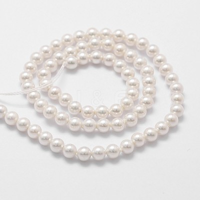 Shell Pearl Beads Strands X-BSHE-L025-01-6mm-1