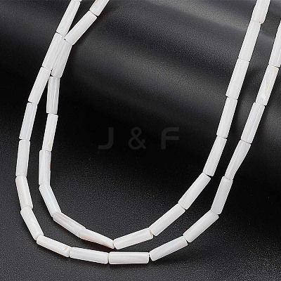 2 Strands Natural Freshwater Shell Beads Strands BSHE-WR0001-03-1