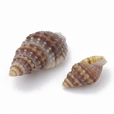Sea Shell Beads X-SSHEL-S258-03-1