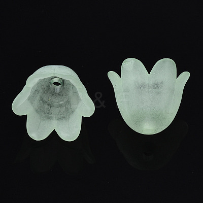 Transparent Acrylic Bead Caps FACR-N005-002C-1