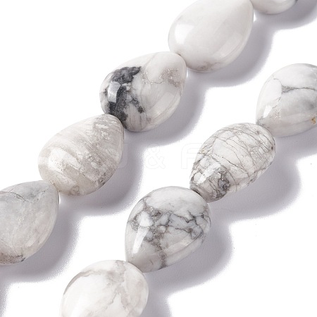 Natural Howlite Beads Strands G-L242-13-1