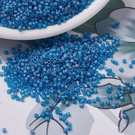 MIYUKI Delica Beads X-SEED-J020-DB0862-1