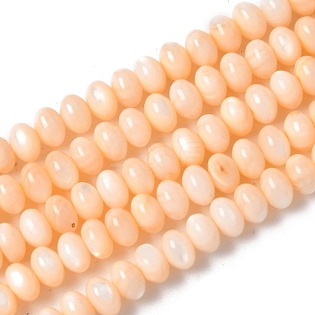 Natural Freshwater Shell Beads Strands SSHEL-C013-07H-1