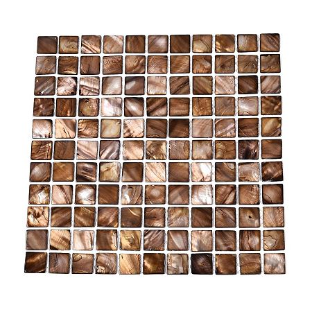 Natural Freshwater Shell Mosaic Tile Cabochons SHEL-Q029-09-1