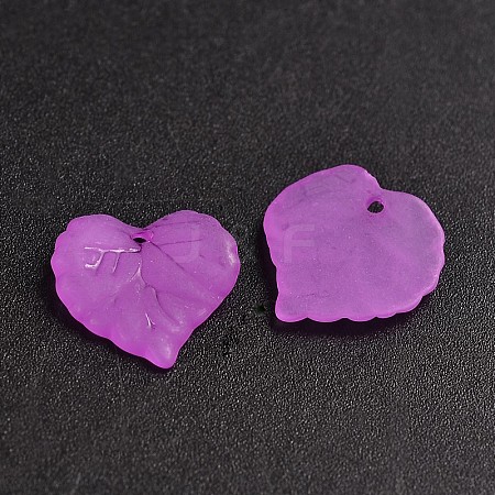 Transparent Acrylic Pendants PL591-7-1
