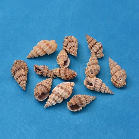 Natural Spiral Shell Beads BSHE-S059-1