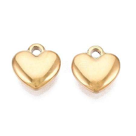 304 Stainless Steel Charms STAS-N125-25E-G-1