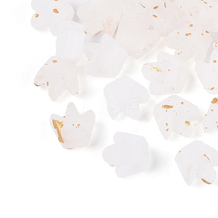 Frosted Transparent Acrylic Beads FACR-T009-01J-1