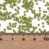 11/0 Czech Opaque Glass Seed Beads SEED-N004-003B-07-6
