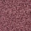 TOHO Round Seed Beads SEED-JPTR11-0771FM-2