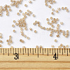 MIYUKI Delica Beads SEED-JP0008-DB1731-4