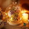 Diamond Glass Dome Cover AJEW-WH0348-294D-02-4