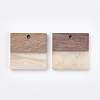 Resin & Walnut Wood Pendants RESI-T023-19A-2