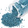 MIYUKI Delica Beads SEED-MY11-DB2513-1