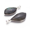 Natural Labradorite Pendants G-L524-01P-2