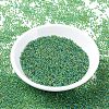 MIYUKI Round Rocailles Beads SEED-G007-RR0341-2