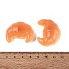 Opaque Resin Imitation Food Cabochons CRES-Q222-06C-3