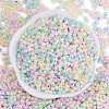 Glass Seed Beads SEED-K010-03M-3