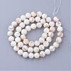 Natural Freshwater Shell Bead Strands SHEL-S254-05-2