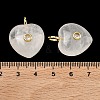 Natural Quartz Crystal Pendants G-B180-03G-12-3