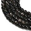 Natural Silver Obsidian Beads Strands G-C280-B08-6mm-4