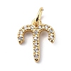 Brass Micro Pave Cubic Zirconia Charms ZIRC-F131-16G-10-1