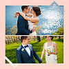 Ribbon Bridal Wedding Money Bag AJEW-WH0291-25-6