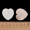Natural Freshwater Shell Cabochons SHEL-C010-10B-3