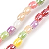 Handmade Porcelain Beads Strands PORC-B008-01A-1
