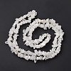 Natural Quartz Crystal Chips Beads Strands F019-2-4