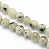 Natural Sesame Jasper/Kiwi Jasper Round Beads Strands X-G-S168-6mm-1