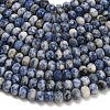 Natural Blue Spot Jasper Beads Strands G-Z111-A32-4