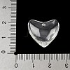 Trajnsparent Resin Pendants CRES-D306-03B-4