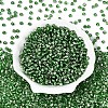 Picasso Baking Paint Glass Seed Beads SEED-N007-35E-2