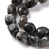 Natural Larvikite Beads Strands G-G146-A13-01-4