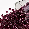 TOHO 8/0 Round Beads X-SEED-TR08-2226-1