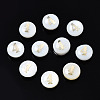 Natural Freshwater Shell Beads SHEL-N003-20-04-1