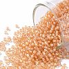 TOHO Round Seed Beads X-SEED-TR11-0301-1