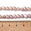 Natural Cultured Freshwater Pearl Beads Strands PEAR-C004-21C-5