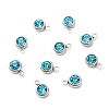 201 Stainless Steel Rhinestone Charms STAS-S068-12-1