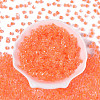 Transparent Inside Colours Glass Seed Beads SEED-T007-11F-1