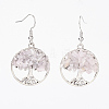Natural Gemstone Dangle Earrings X-EJEW-JE02475-2