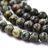 Natural African Turquoise(Jasper) Beads Strands G-N0188-02-2mm-5